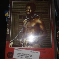 Roots saga DVD set $40