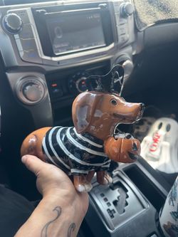 spooky pirate Halloween pumpkin dachshund decor