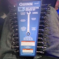 Quinn 100 Tooth Metric Ratcheting Wrenches 