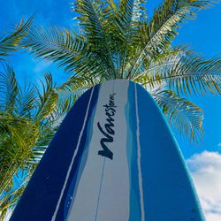 Wavestorm Surfboard With Case $300 