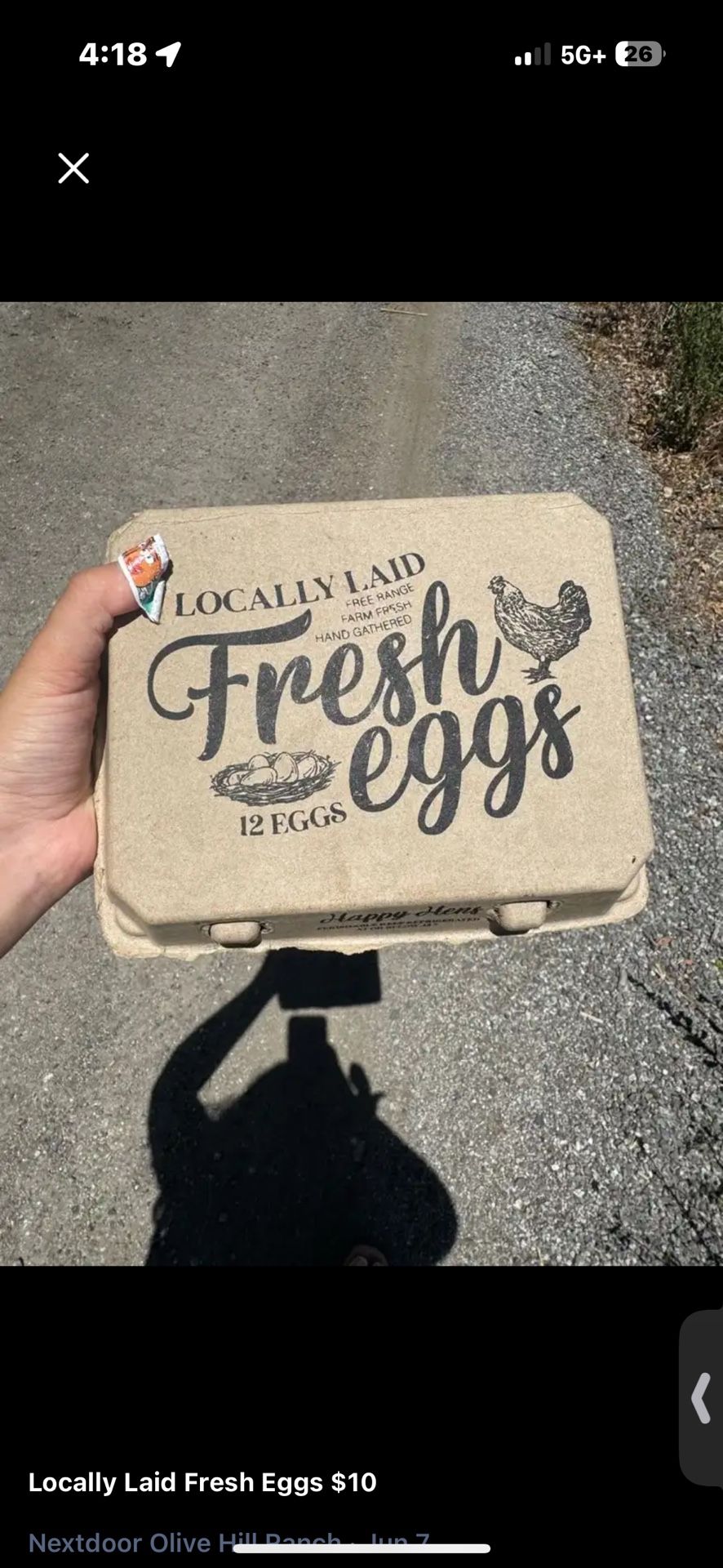 Fresh Eggs!!! On Sale $8.00 One Dozen