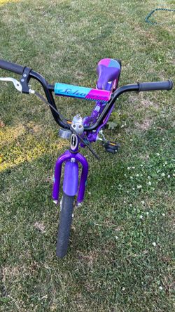 20 inch Schwinn