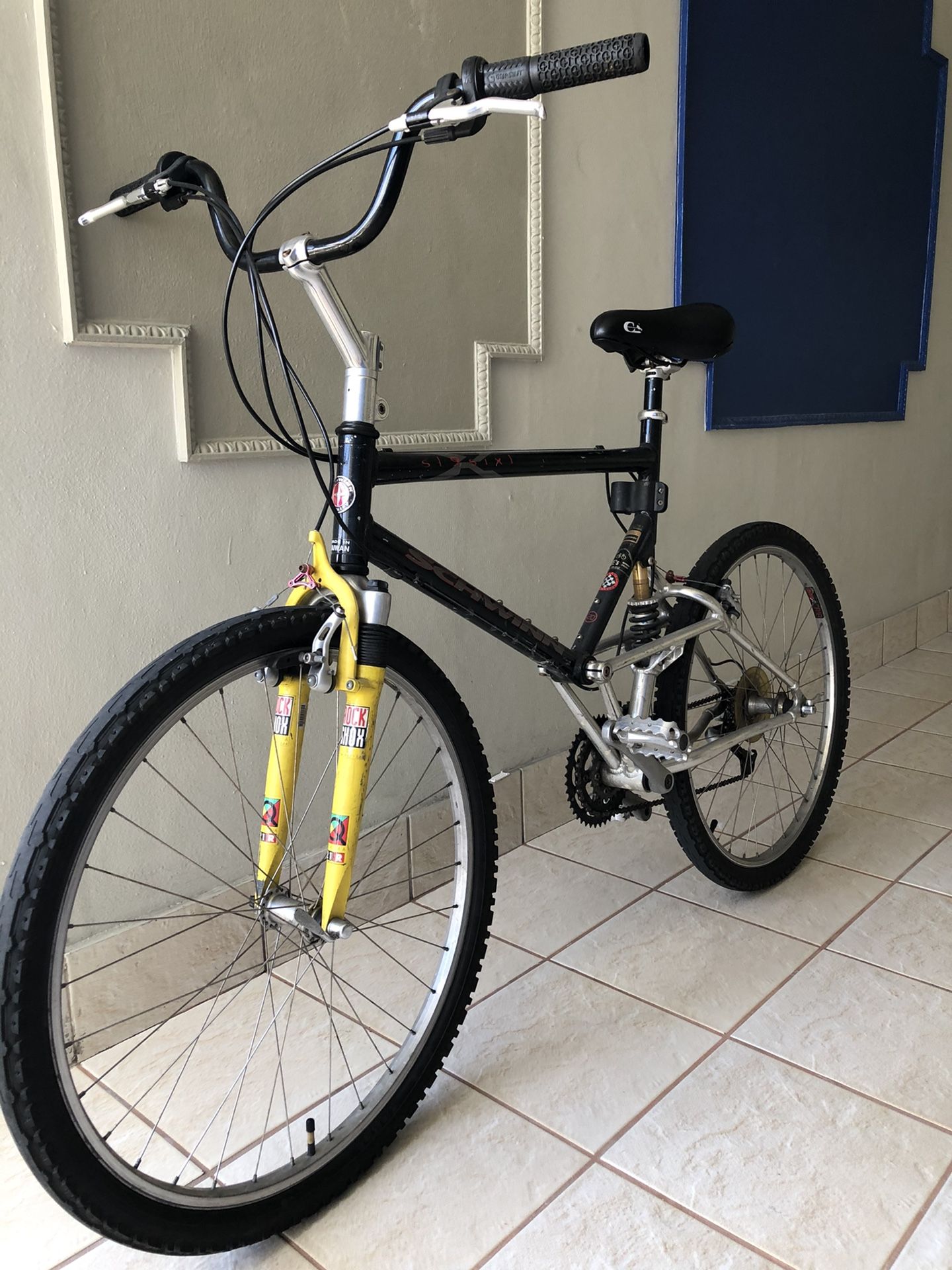 Schwinn 19six mountain bike