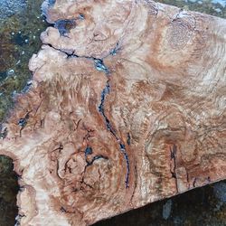 $$$RED OAK  BURLS  SLICES $$$$