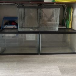 10 gallon Tanks For Reptile Or Fish.