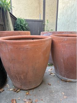 Terracotta planter