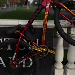 SE MONSTER RIPPER 29’