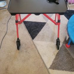 Walker W/Tray 