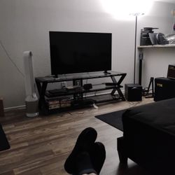 Entertainment Center With TV Surround Sound And DVD Player And Power Conditioner 