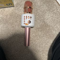 Kids Play Microphone 