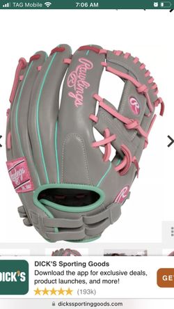 Rawlings GG Elite Softball mitts