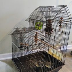 Bird Cage