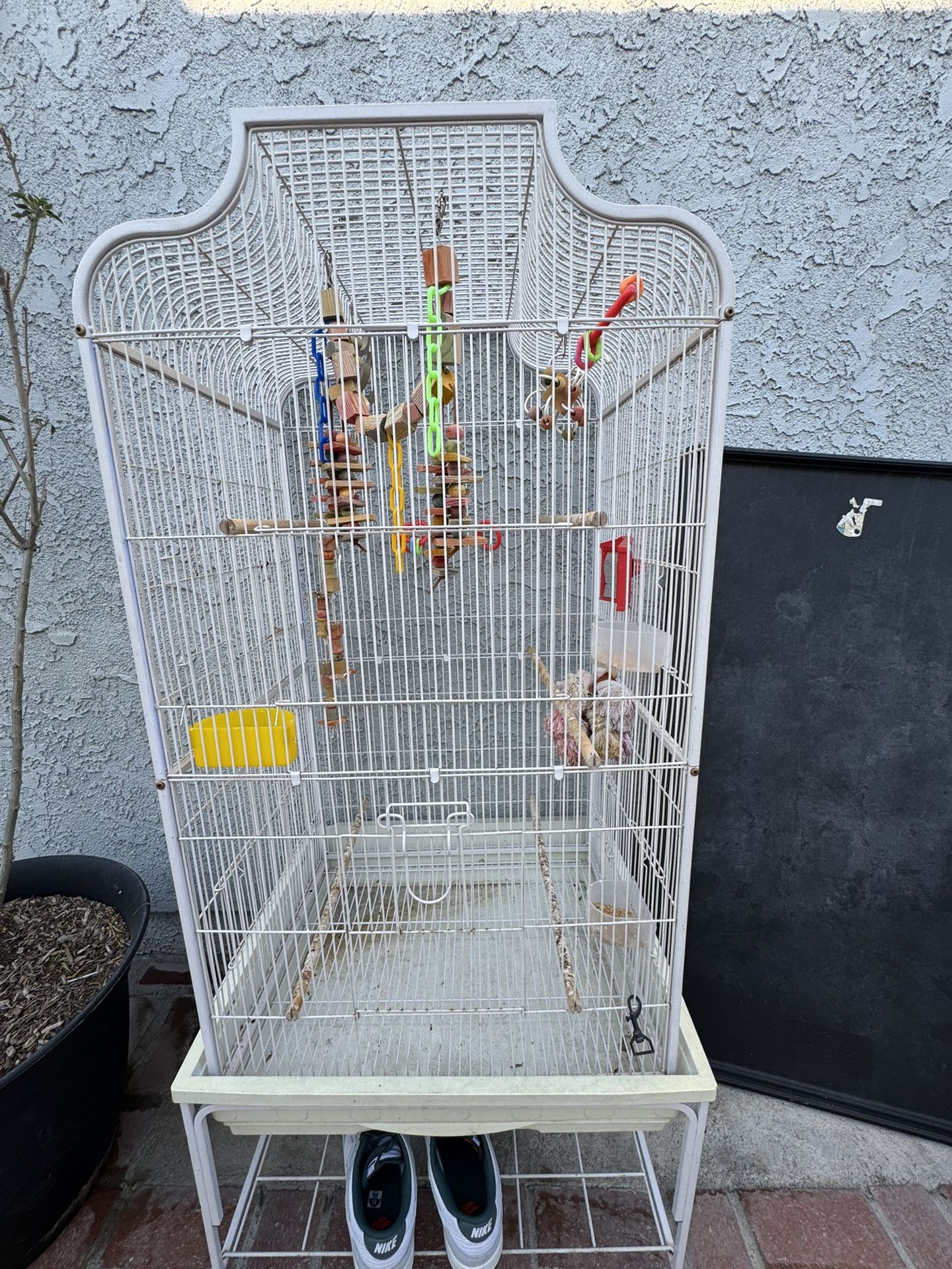 Bird Cage 