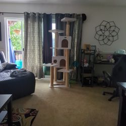 Cat House 