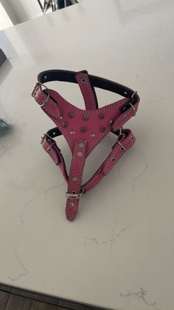 harness size medium 