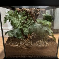 Reptile Tank 