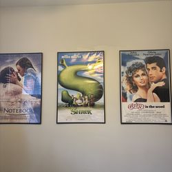 Movie posters 18x24