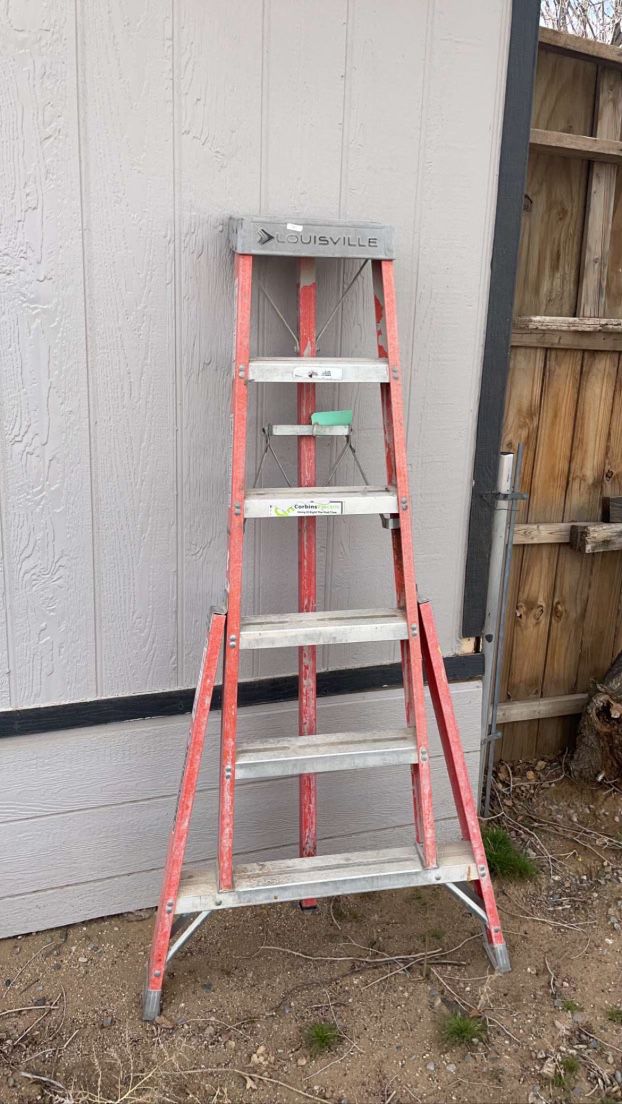 6FT Louisville ladder 