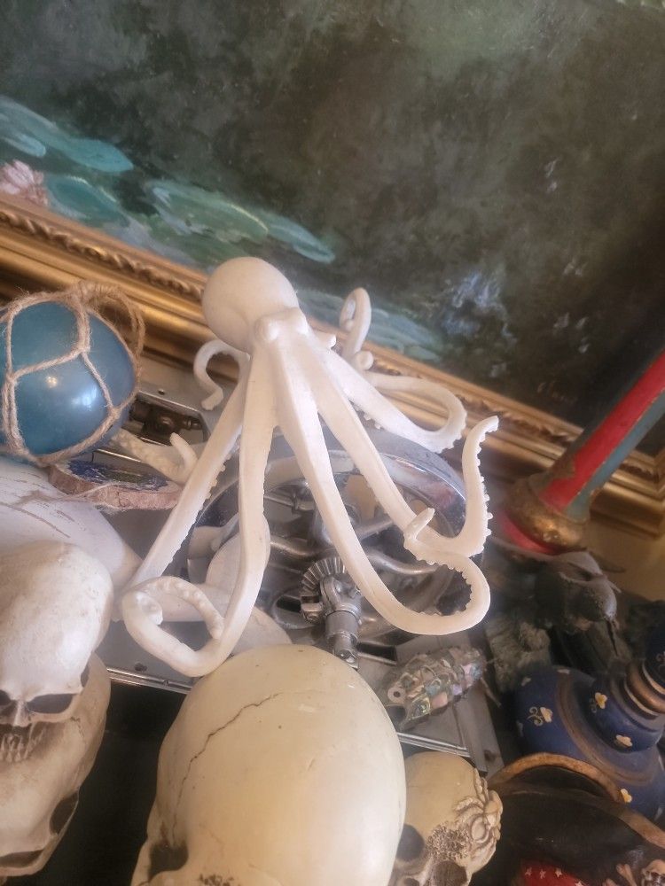Octopus plastic or plastic