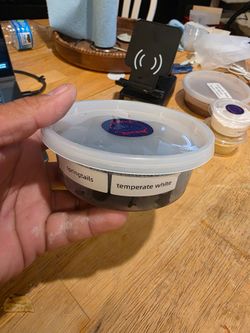 Isopods, springtails, amd supplies