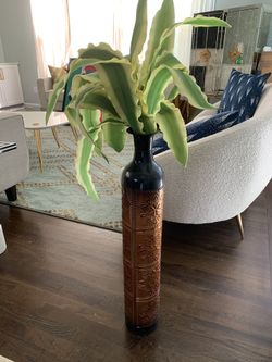 Vase With plant