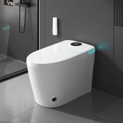 Smart Toilet