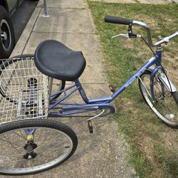 Adult Trikes 