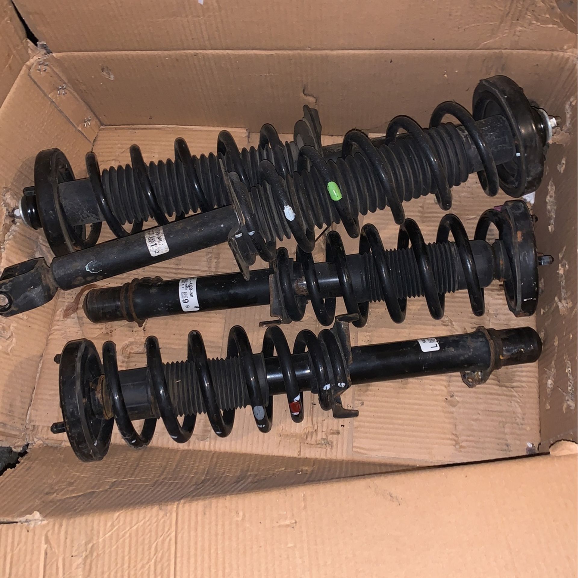 Honda Accord Struts Set
