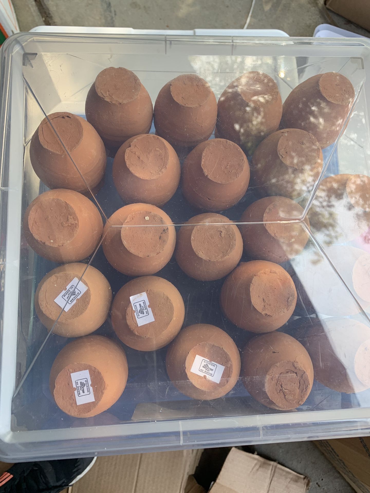 Mini shot cups