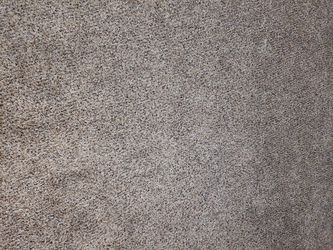 Carpet and Padding
