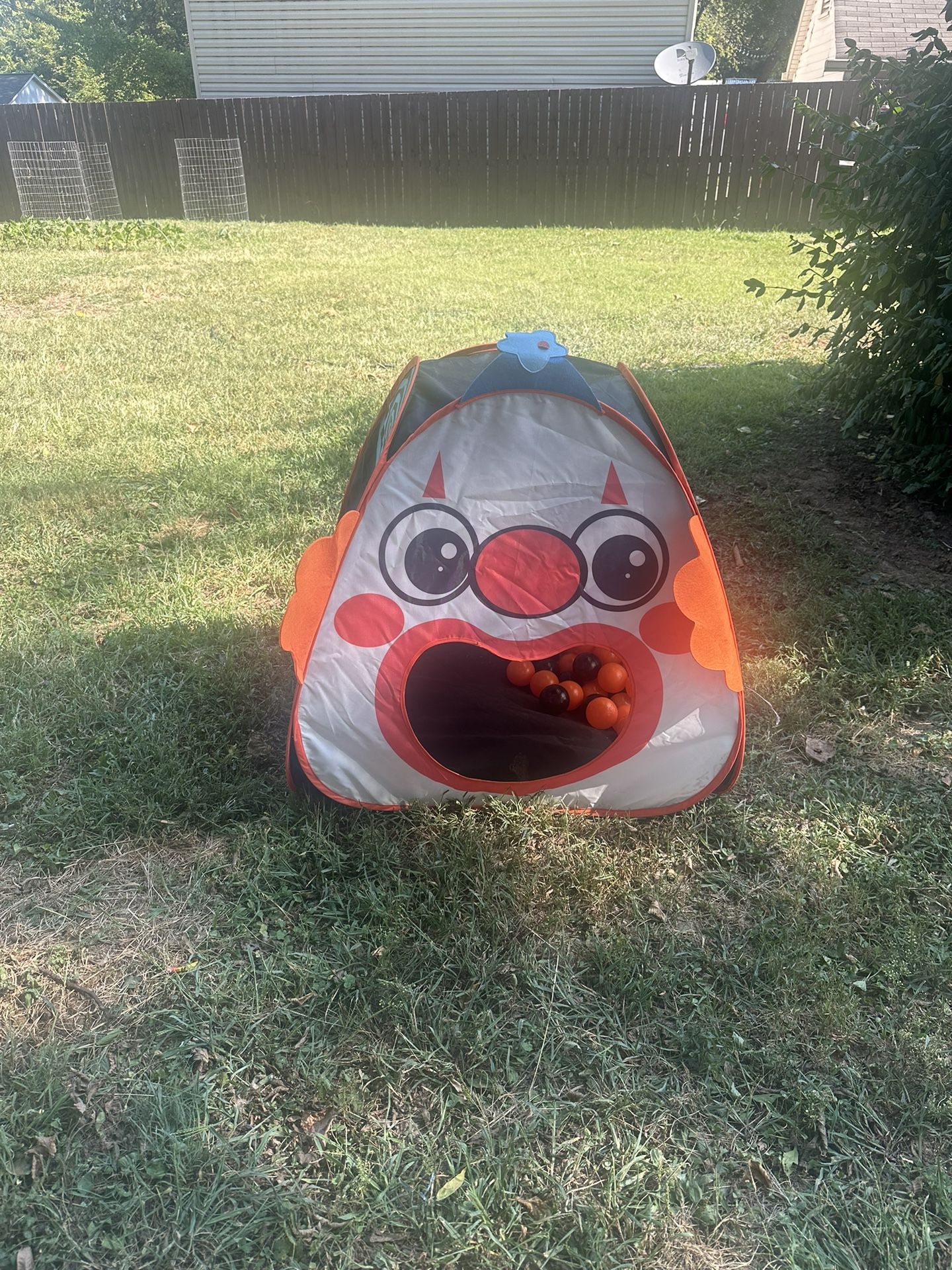 dog Halloween Funhouse
