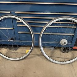 Campagnolo Wheels 