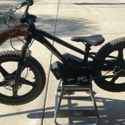 Stacyc 20 E Drive Bike