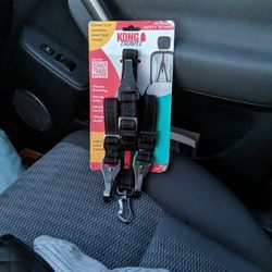 Kong travel For Dogs In The Car 