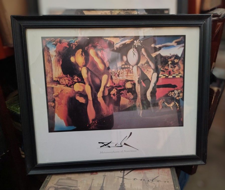 Salvador Dali Lithograph 