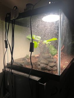 Reptile Tank 