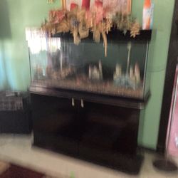 55 Gallon Dish Tank W/Black Lacquer Cabinet