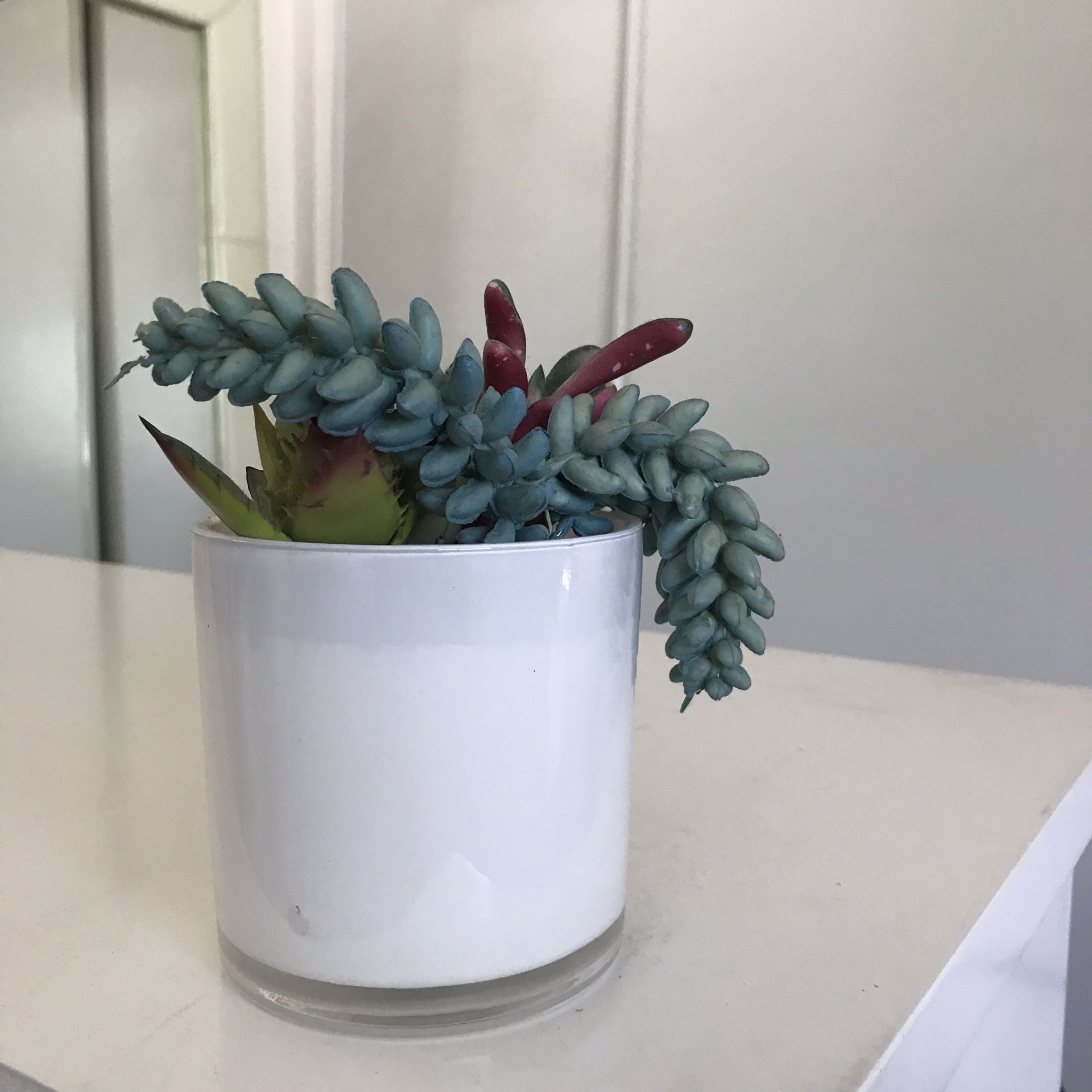Fake Succulent Cactus Plant Target $3