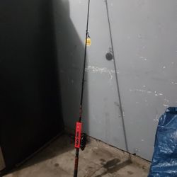 Ugly Stick Brand 8ft Fishing Pole