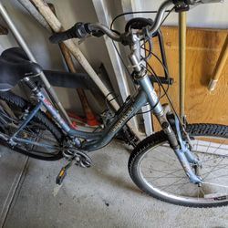 Diamondback "Serene" Girls Mountain Bike 