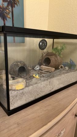 Hermit crab or Reptile tank