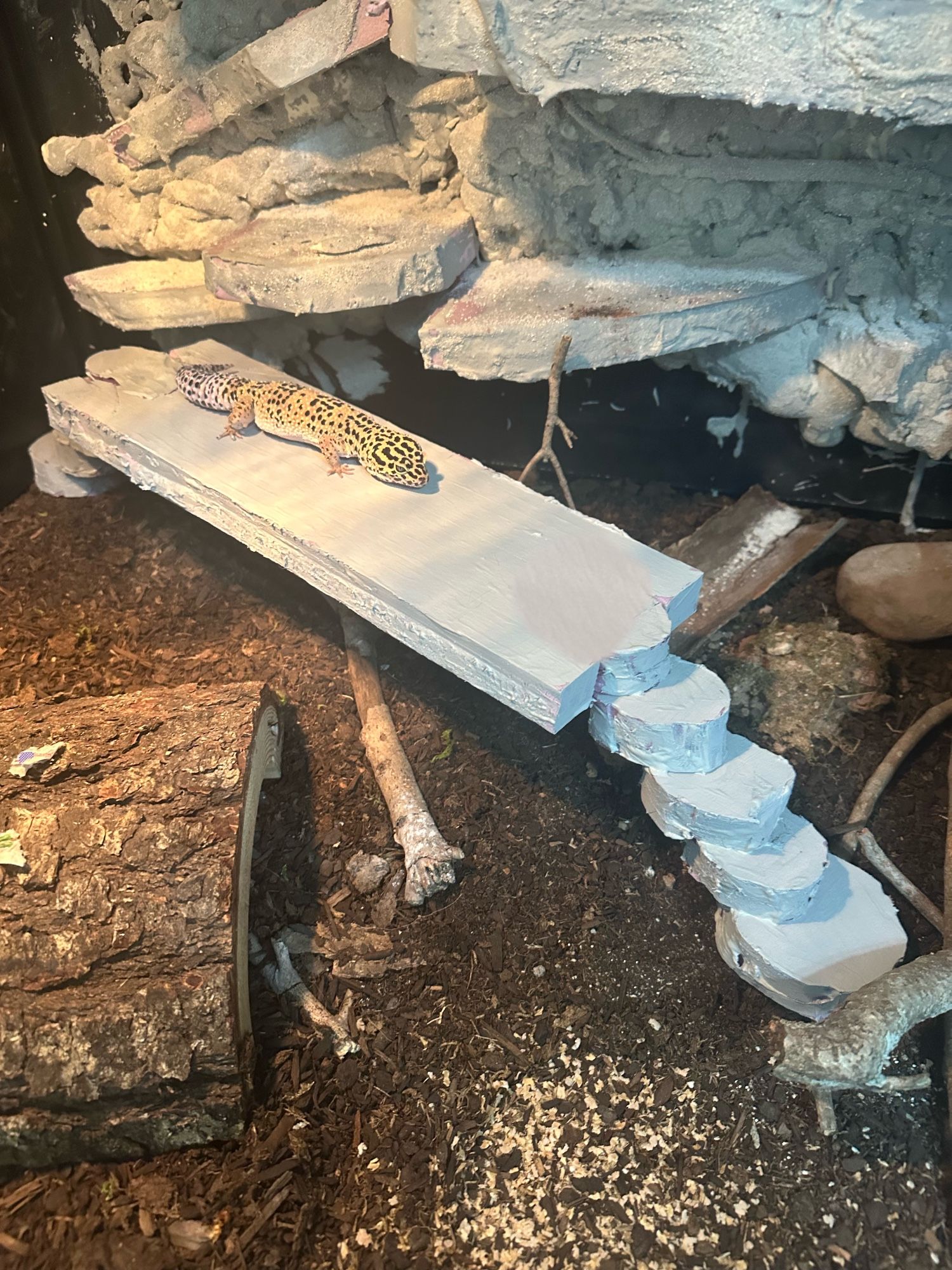 reptile basking/ hide