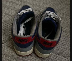 Nike Dunks Samba