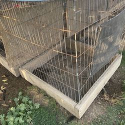 Medium Cages For Chickens 