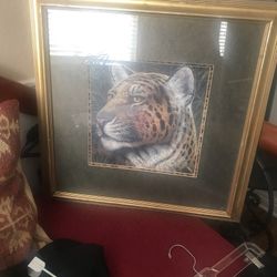 Leopard picture