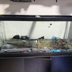 75 Gallon Fish Tank