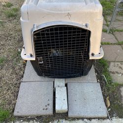 Big Dog Kennels 