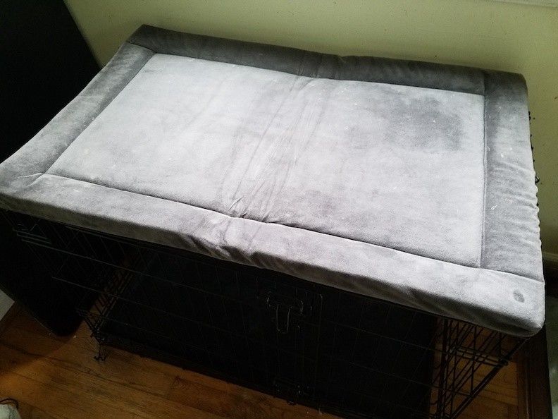 Large Pet Crate with Soft Mat/Bed