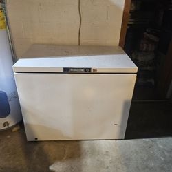 Chest Freezer