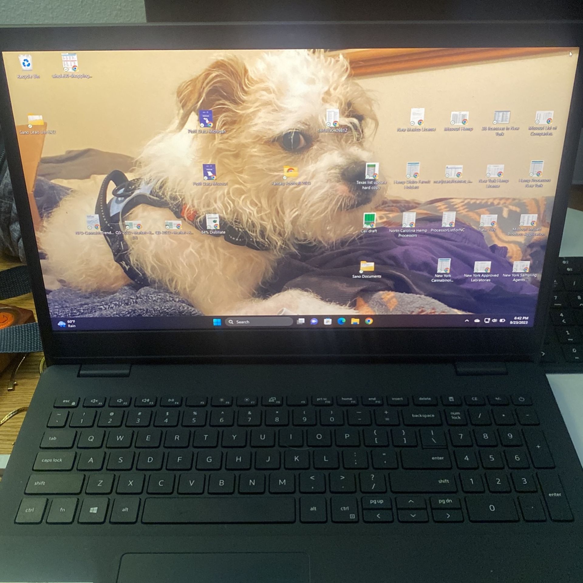 Dell Inspiron 15-3000 Touch Screen